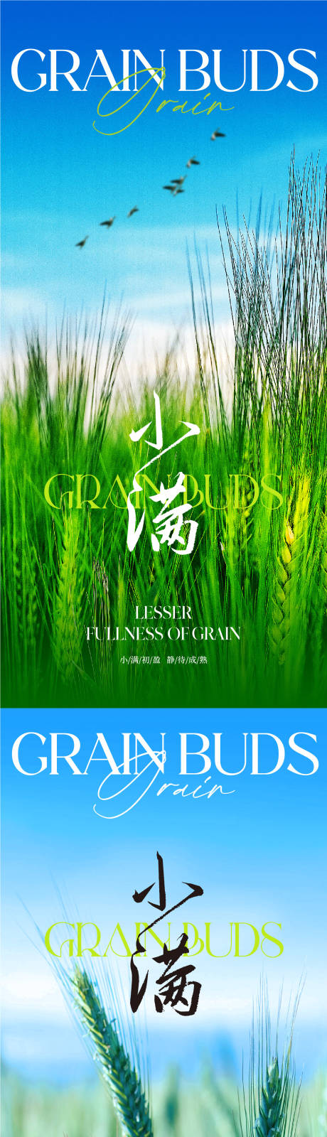 源文件下载【地产小满节气系列海报】编号：86770016510326301