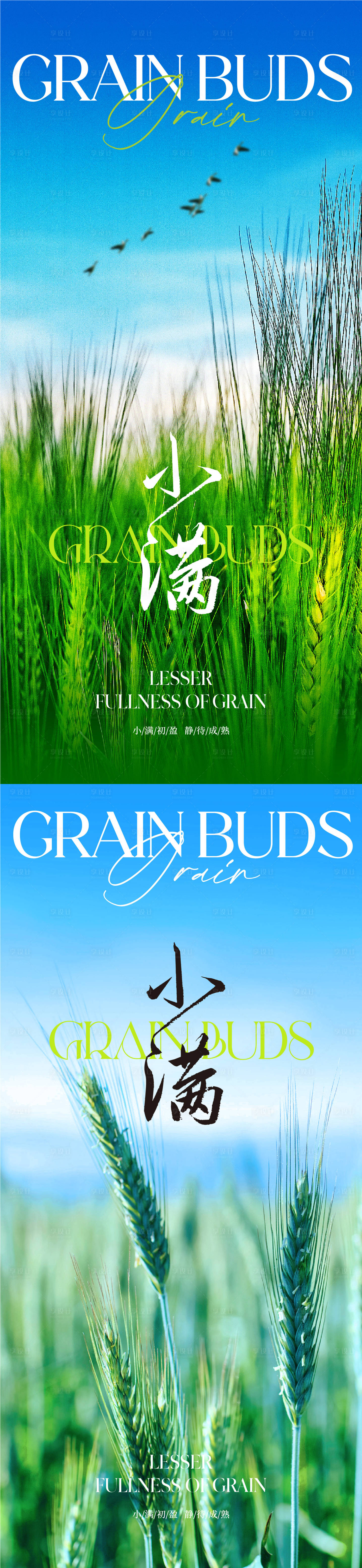 源文件下载【地产小满节气系列海报】编号：86770016510326301