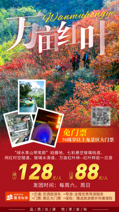山东淄博红叶旅游海报