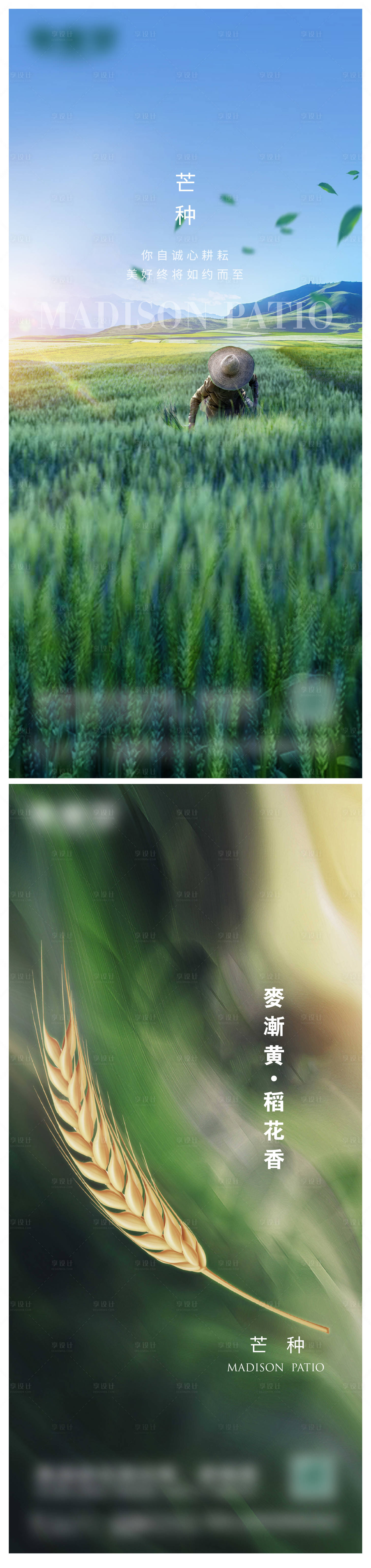 源文件下载【享设计】搜索编号：87330017058167266【芒种微信海报】