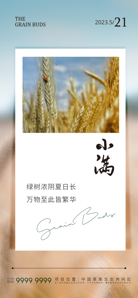 源文件下载【小满二十四节气海报】编号：26650016738819696