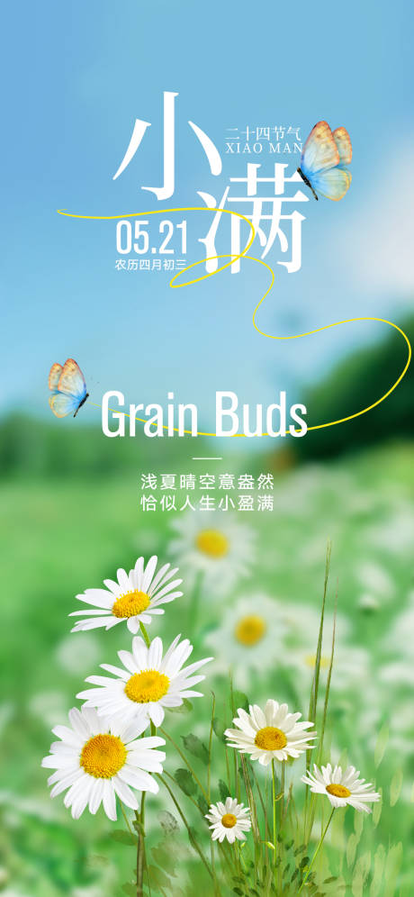 源文件下载【小满节气海报】编号：79900016554864661