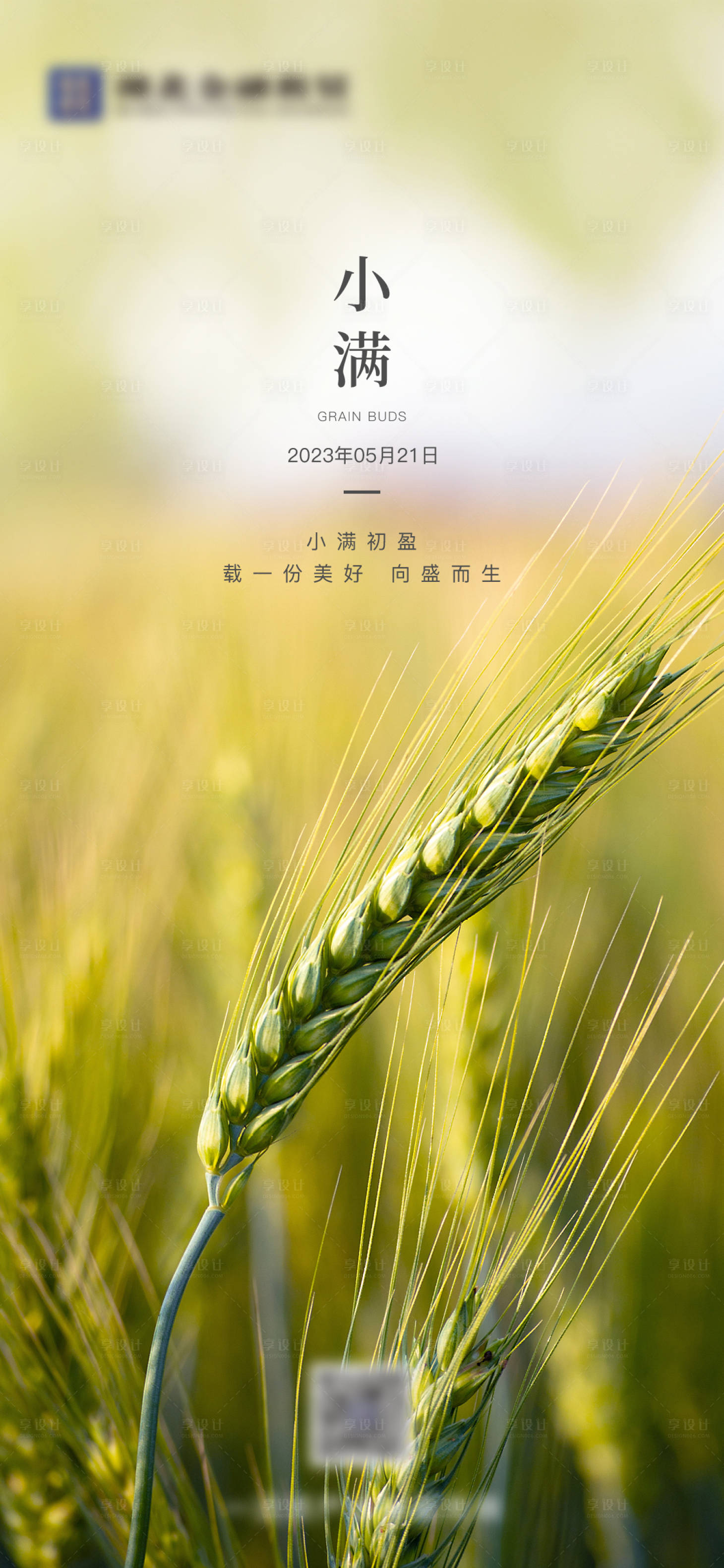 源文件下载【小满节气稿】编号：76700016770171169