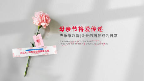 源文件下载【享设计】搜索编号：48520017027656202【母亲节康乃馨海报】