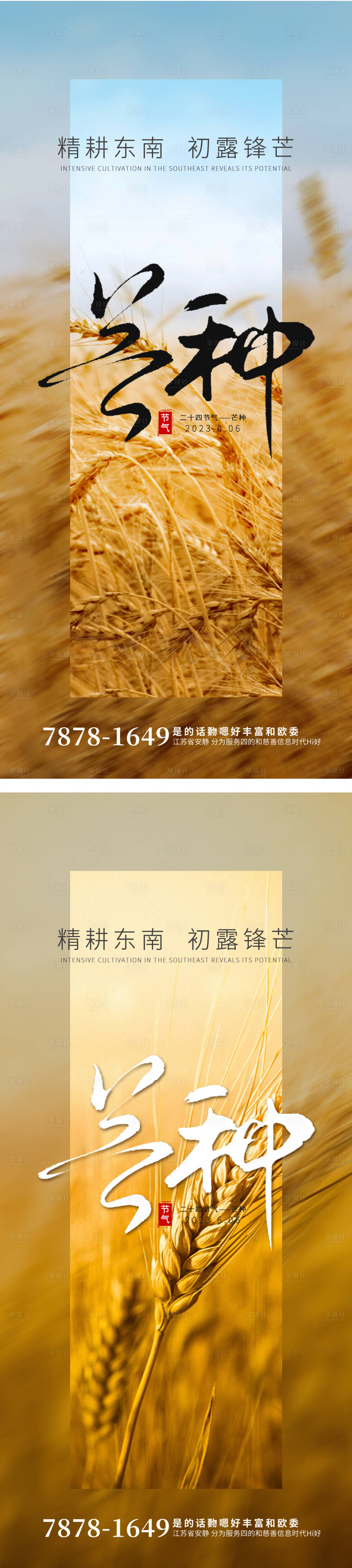 源文件下載【享設計】搜索編號：37530016951874374【芒種節氣系列海報】