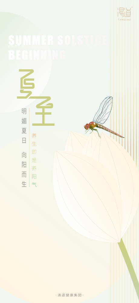 源文件下载【夏至节气海报】编号：59770016472765331