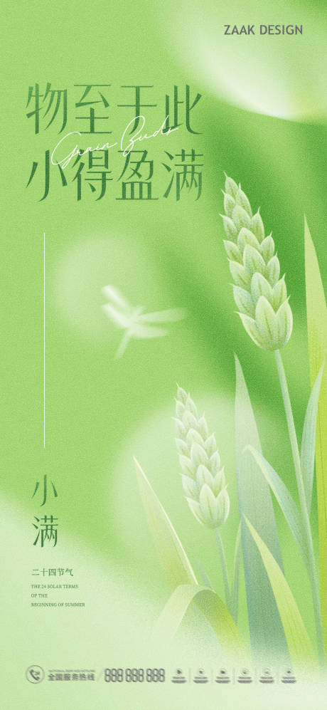 源文件下载【小满节气海报】编号：71350016485045482
