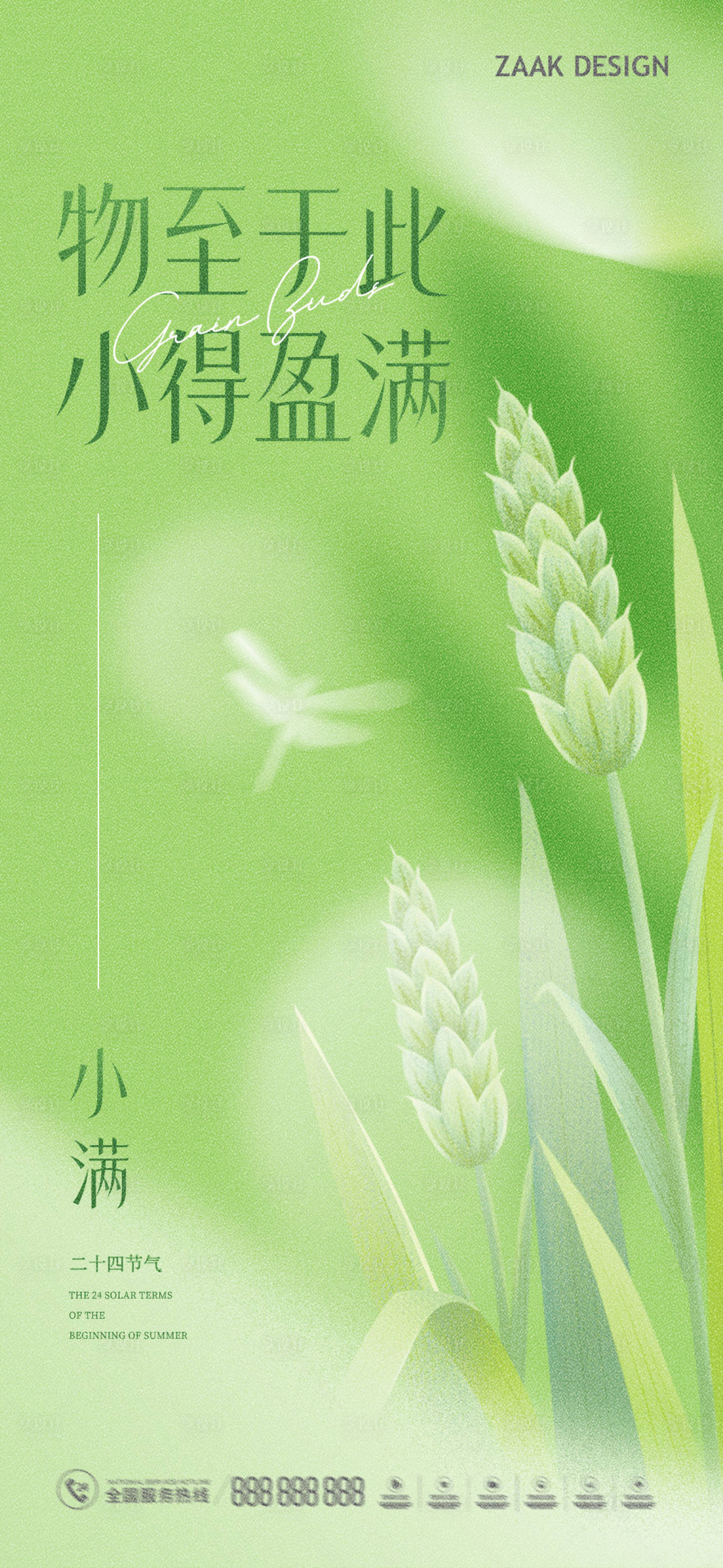 源文件下載【小滿節氣海報】編號：71350016485045482