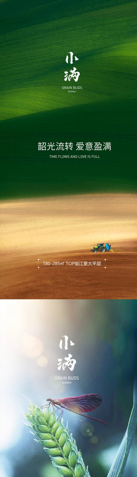 源文件下载【小满节气系列海报】编号：83070016707953221