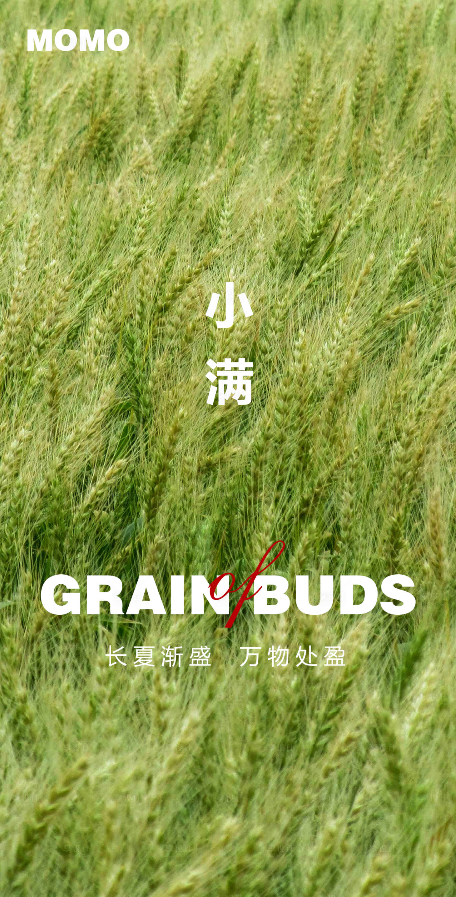 源文件下載【享設計】搜索編號：92700016817259296【小滿】