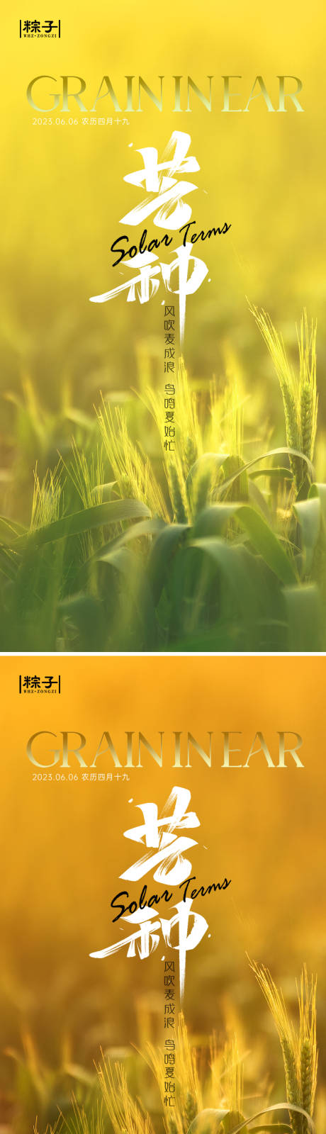 源文件下载【芒种节气海报】编号：60630016785112679