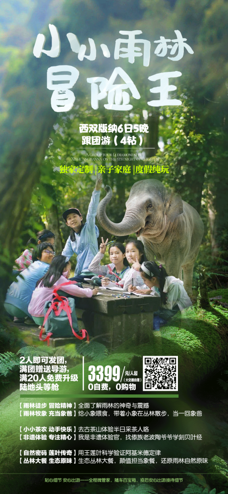 编号：20230516112152541【享设计】源文件下载-小小雨林冒险王旅游海报