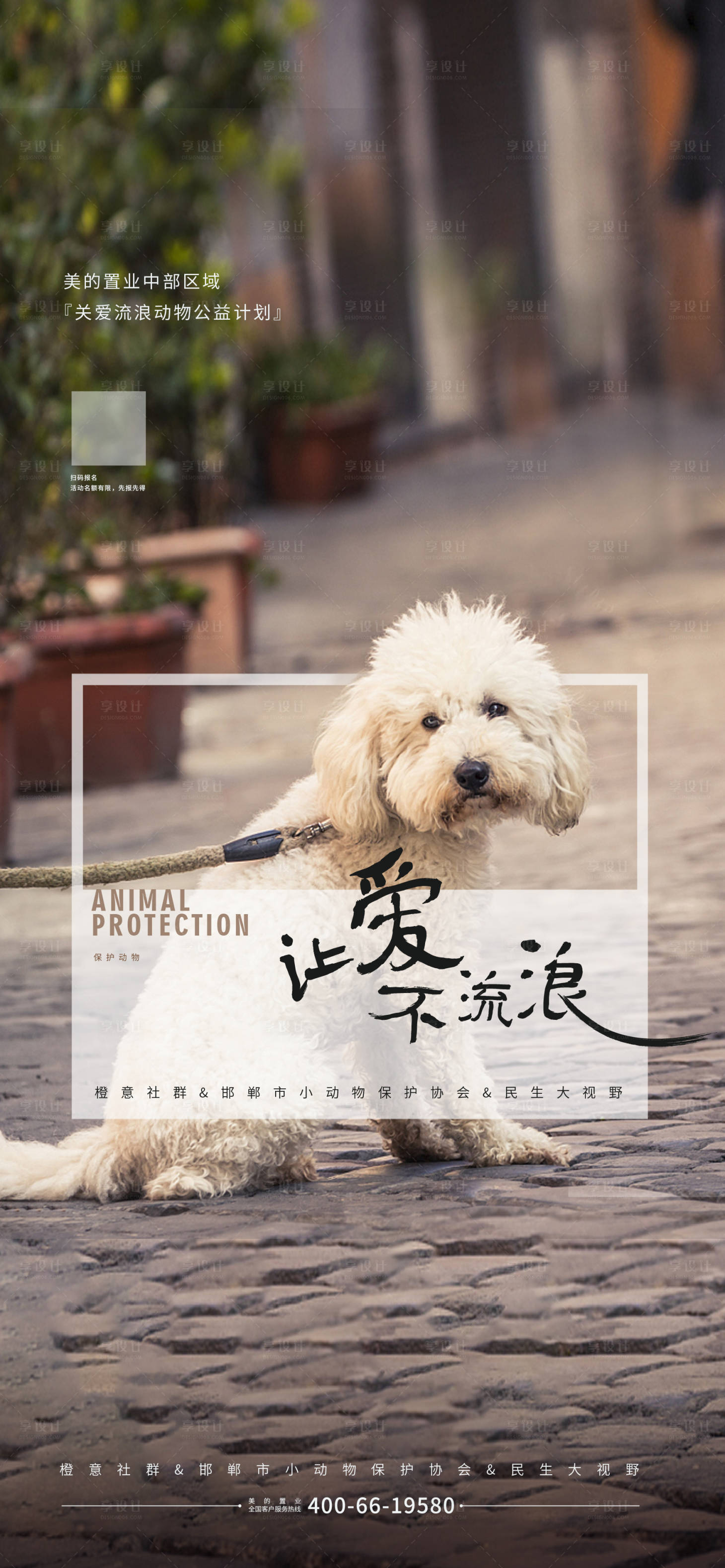源文件下载【享设计】搜索编号：11920017017763187【保护动物动物救助公益海报】