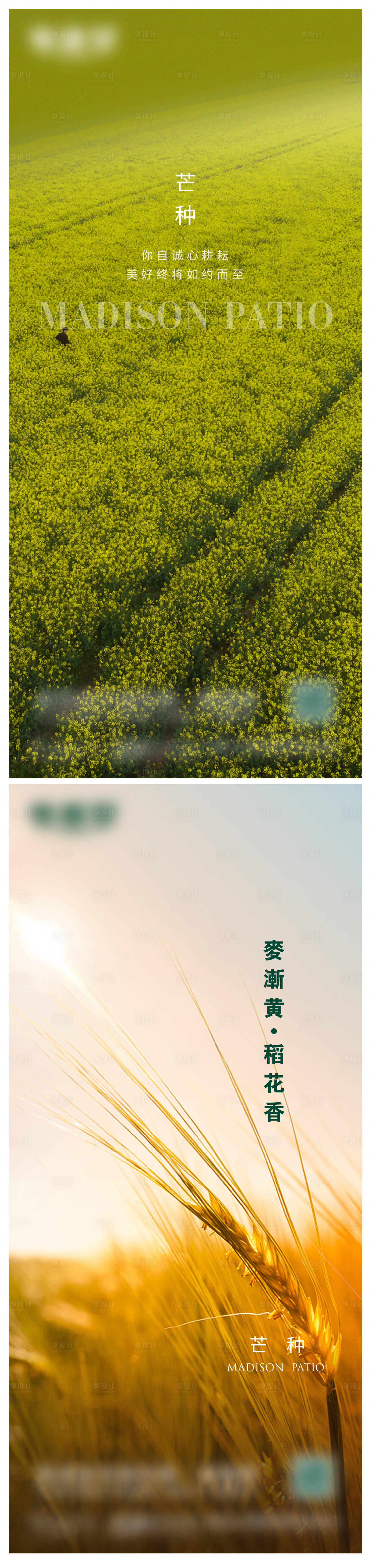 源文件下載【享設計】搜索編號：22810017070594632【芒種微信海報畫面】