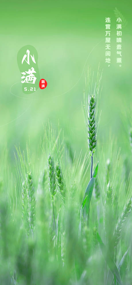 源文件下載【小滿海報】編號：68670016630942955