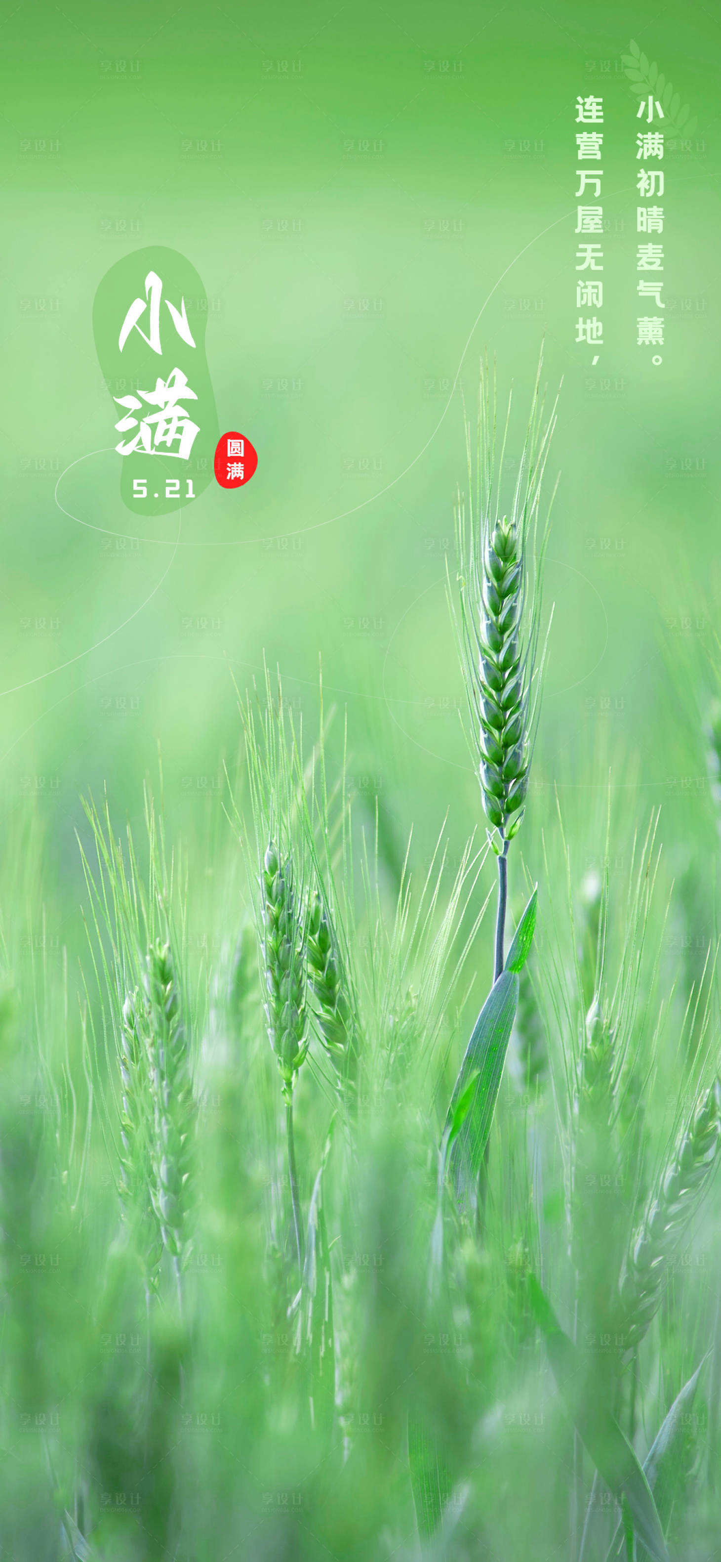 源文件下載【小滿海報】編號：68670016630942955