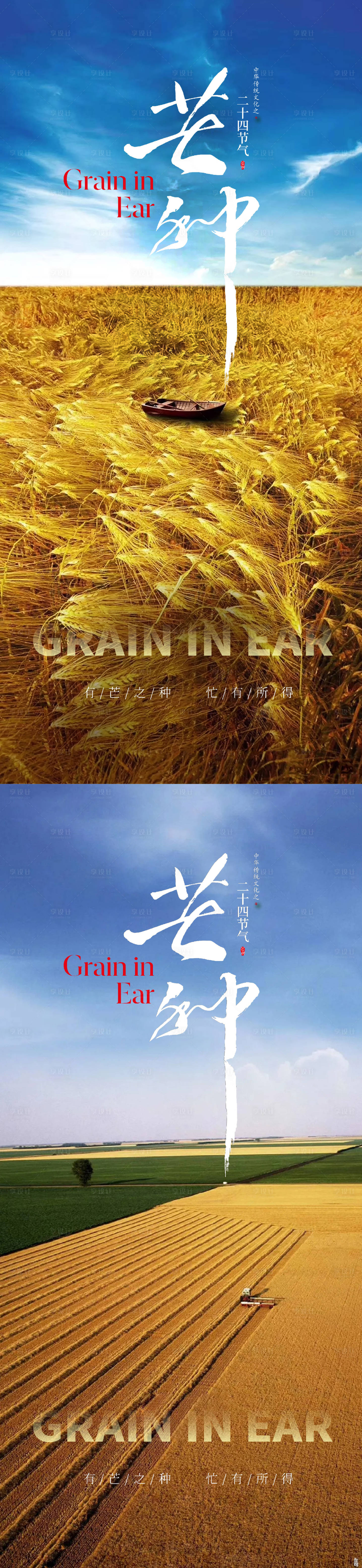 源文件下載【享設計】搜索編號：70260016838177435【芒種節氣系列海報】