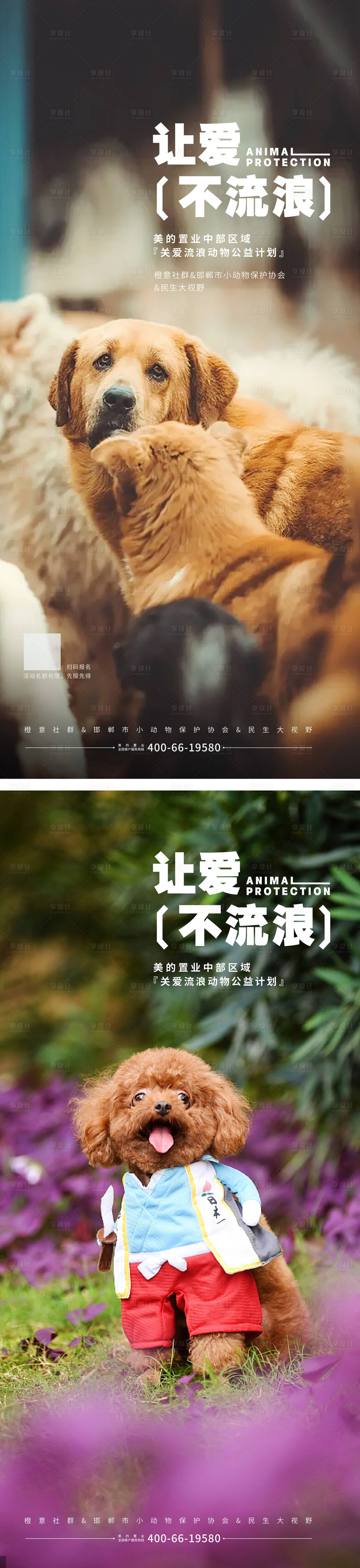 源文件下载【享设计】搜索编号：86260017017723226【保护动物动物救助公益海报】