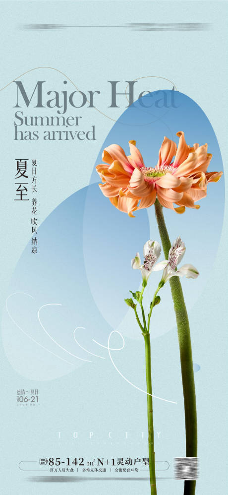 源文件下載【享設計】搜索編號：22120016491683049【夏至海報】