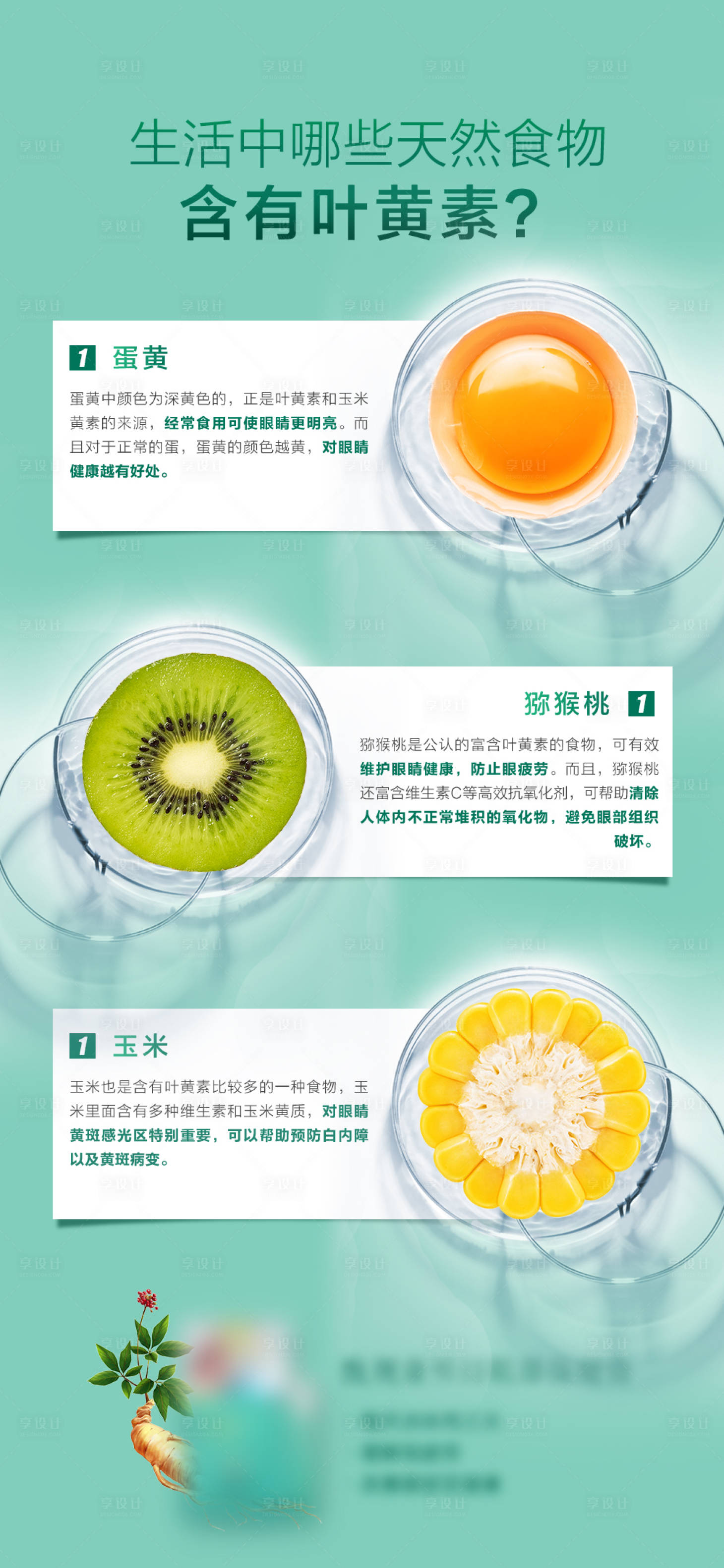 源文件下载【享设计】搜索编号：18370016493517495【生活中食物含叶黄素海报】