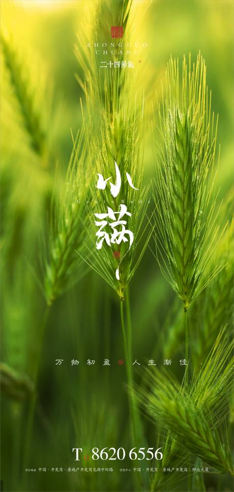 源文件下载【地产小满节气海报】编号：57650016727228676