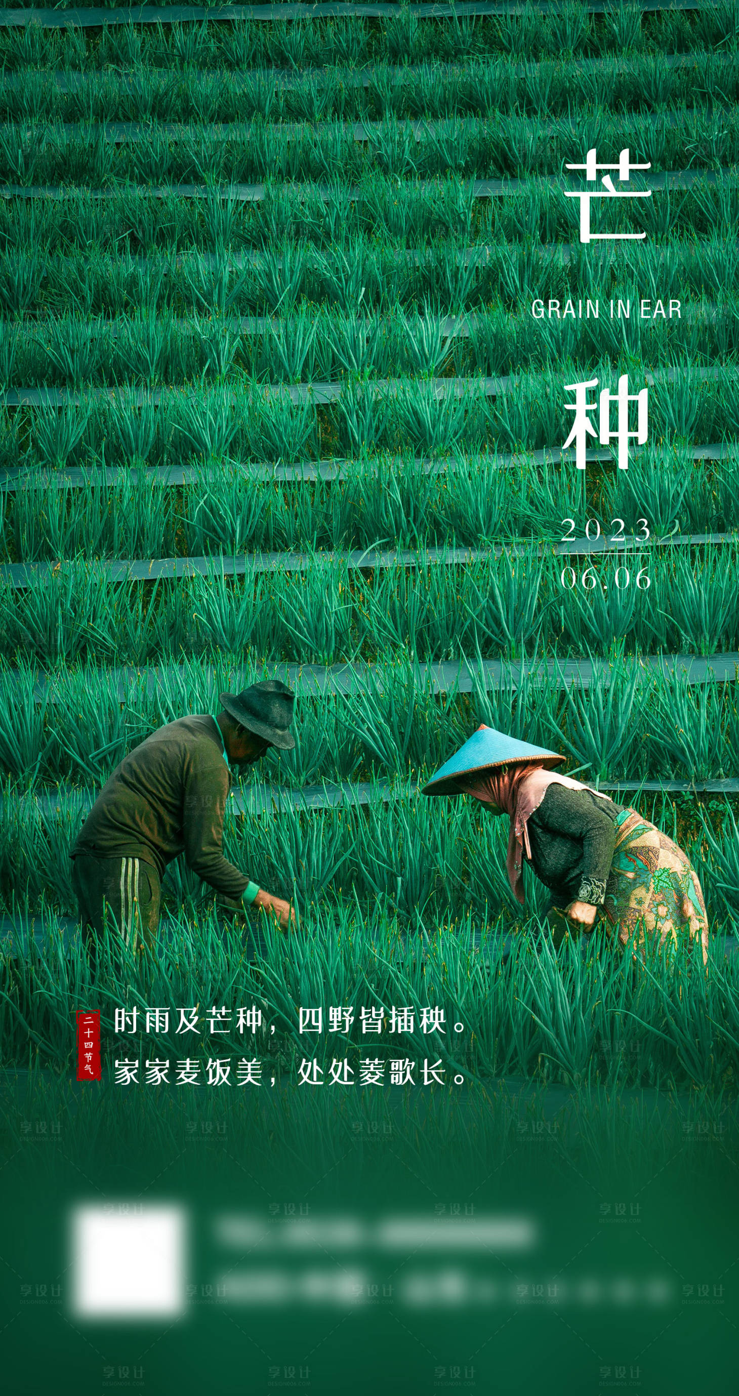 源文件下载【芒种节气海报】编号：52420016547097232