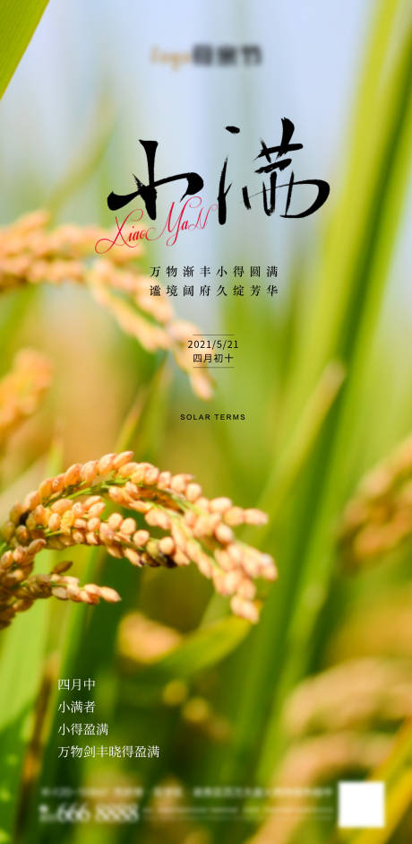 源文件下载【享设计】搜索编号：59770016606052819【小满节气海报】