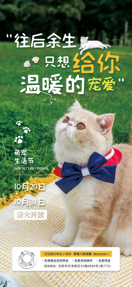 源文件下载【宠物店铺活动宣传海报】编号：39260016722821776