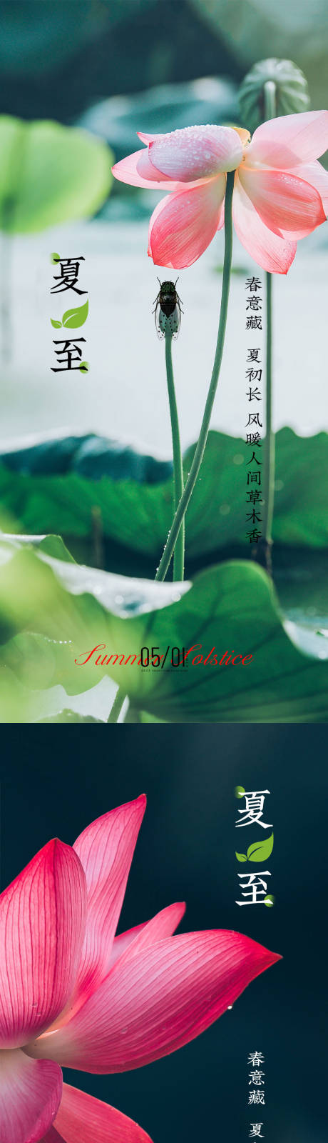 源文件下載【夏至系列海報】編號：10660016777378930