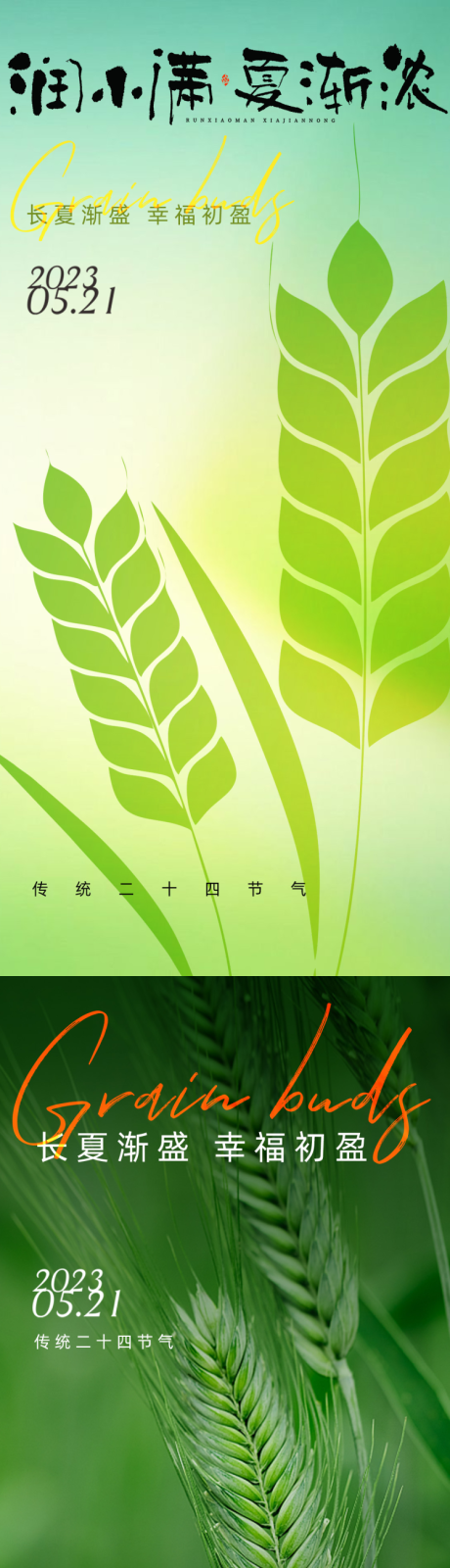 源文件下载【小满二十四节气海报】编号：90230016551878805