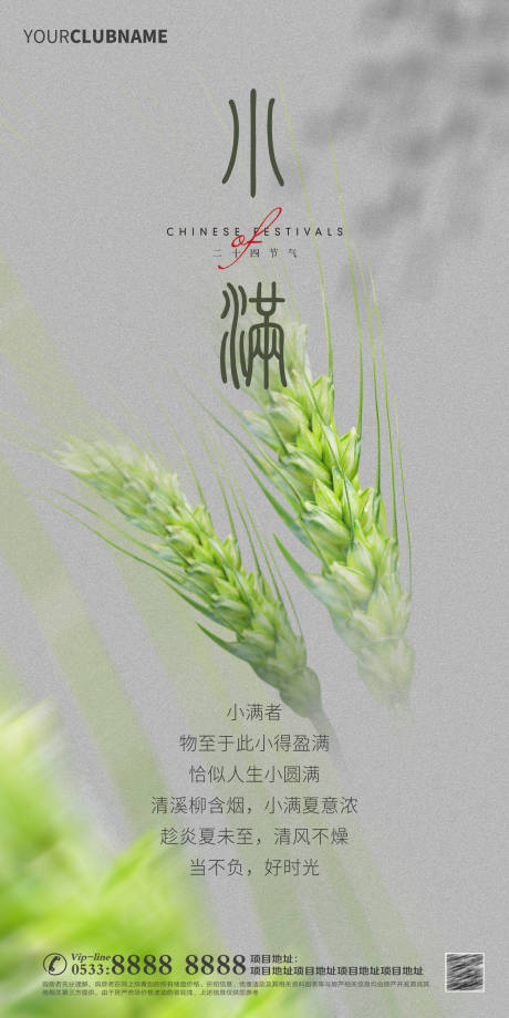 源文件下载【小满节气海报】编号：85340016784839899