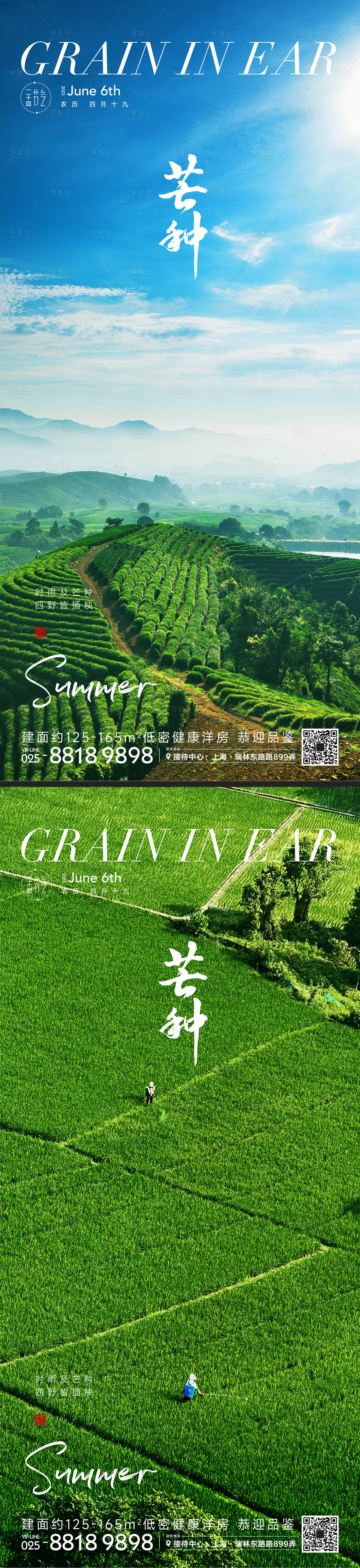 源文件下载【享设计】搜索编号：19990016409095430【芒种节气海报】