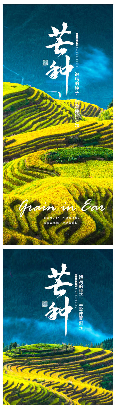 源文件下载【芒种海报】编号：69750016952318716