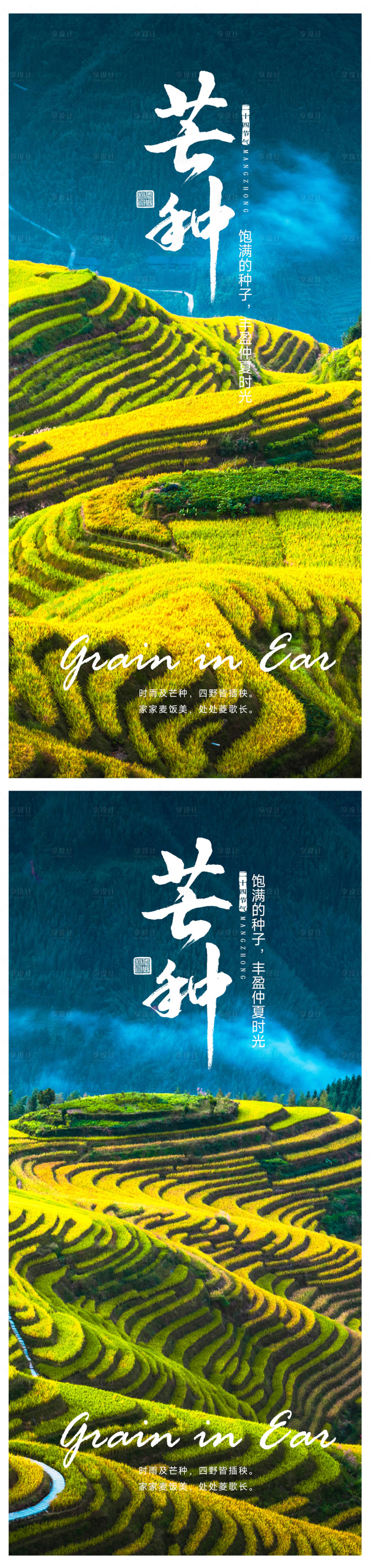 源文件下载【芒种海报】编号：69750016952318716
