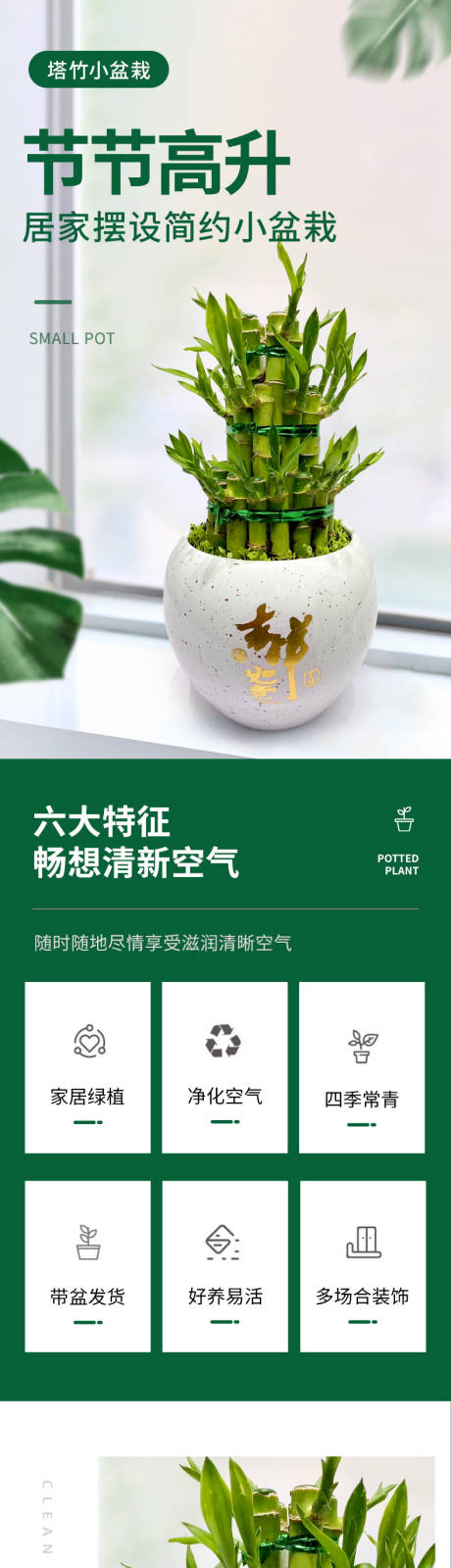 源文件下载【植物绿植盆栽电商淘宝详情页】编号：85960017043312237