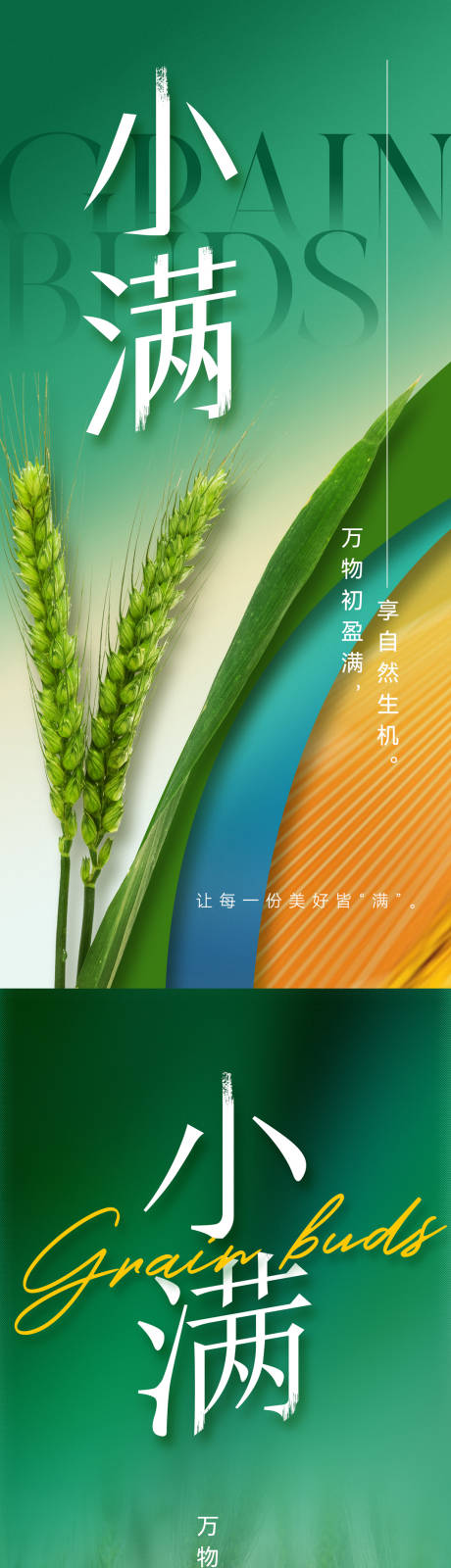 源文件下载【小满节气海报】编号：62500016816484076