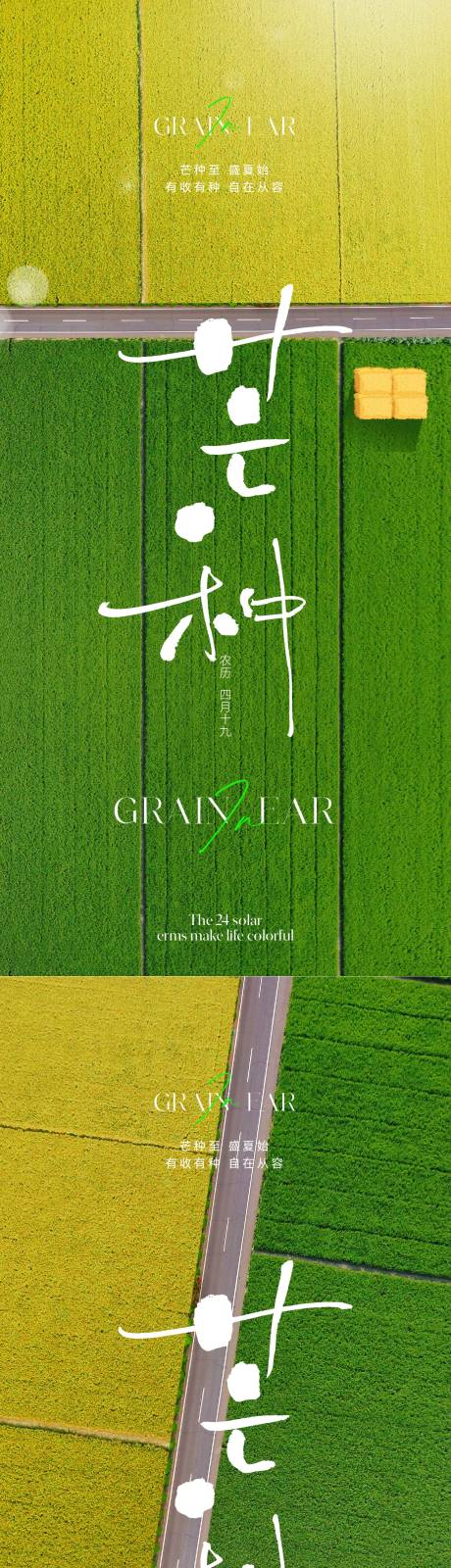 源文件下载【芒种节气海报】编号：17470016827187308