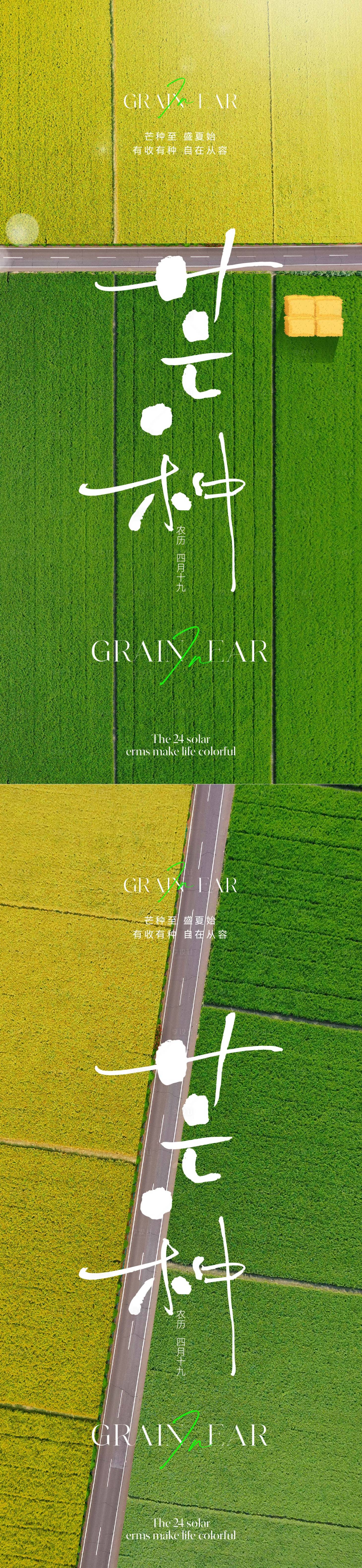 源文件下载【享设计】搜索编号：17470016827187308【芒种节气海报】