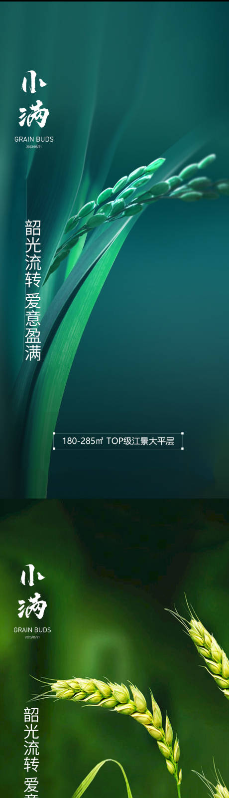源文件下載【享設(shè)計】搜索編號：75170016707992885【小滿節(jié)氣系列海報】