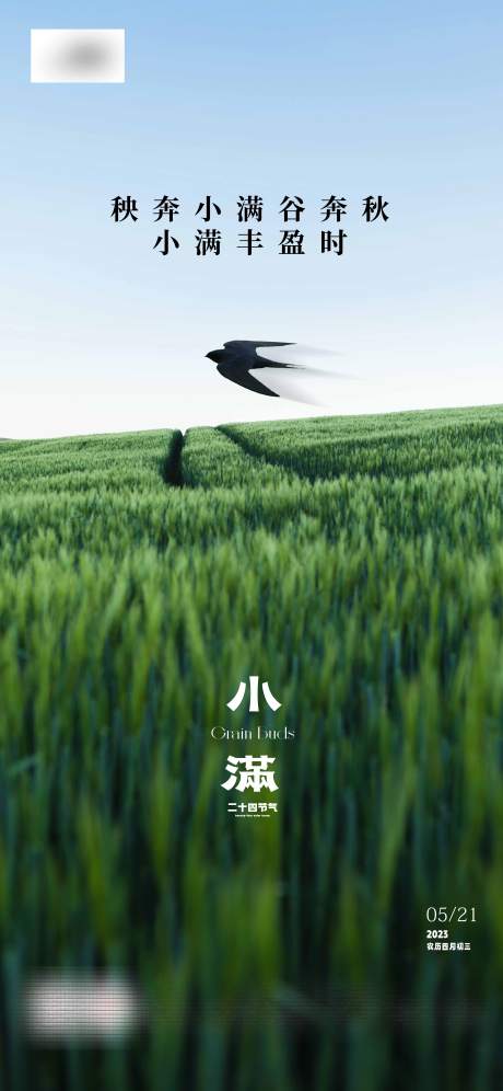 源文件下载【小满海报】编号：51610016771471430
