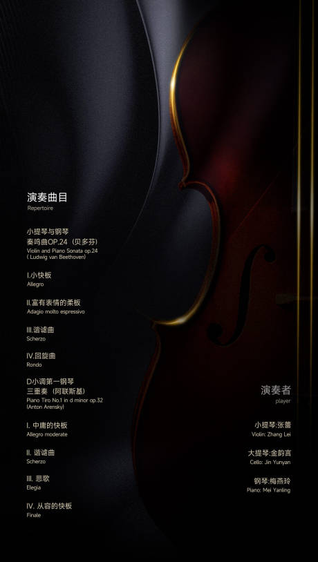 源文件下载【音乐会】编号：11310017069681134