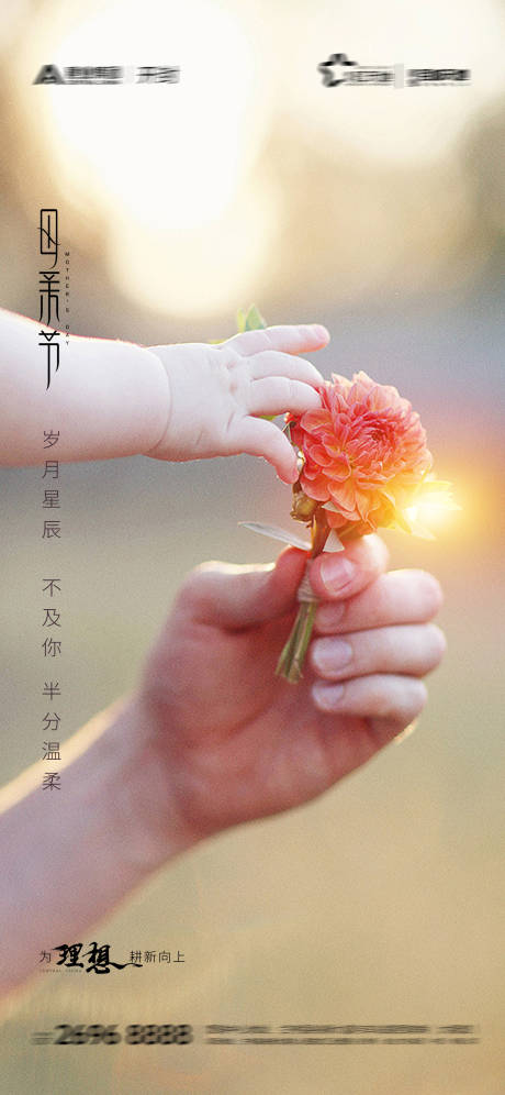 母亲节康乃馨海报-源文件【享设计】