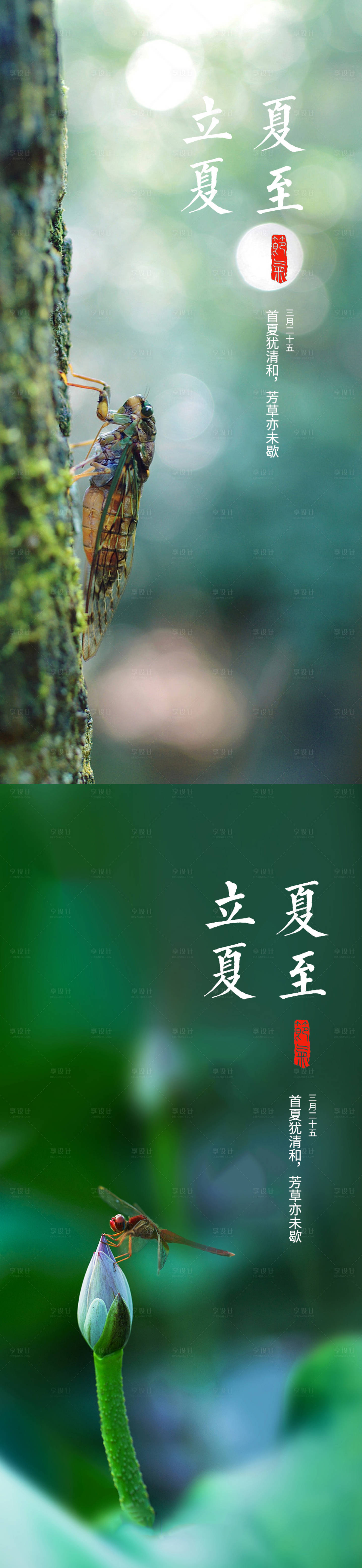 源文件下載【享設計】搜索編號：79280016562461102【立夏夏至節氣系列海報】