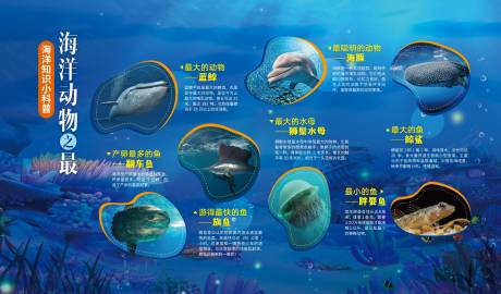 编号：20230522150652970【享设计】源文件下载-海洋动物之最展板