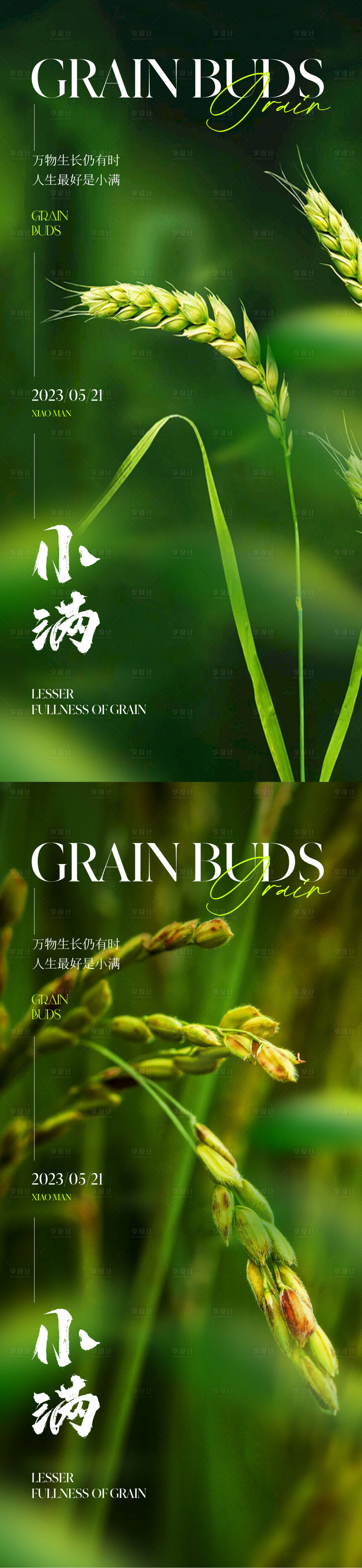 源文件下载【享设计】搜索编号：61990016526578225【地产小满节气麦穗海报】