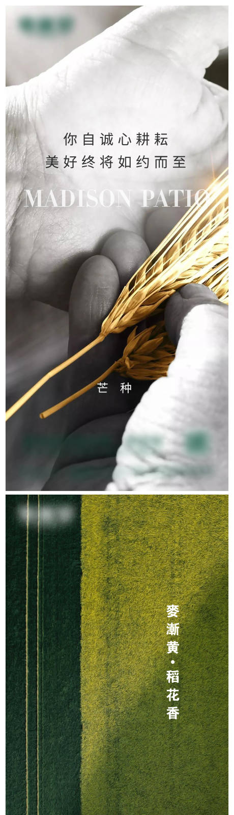 源文件下载【芒种微信海报】编号：70620017056927333