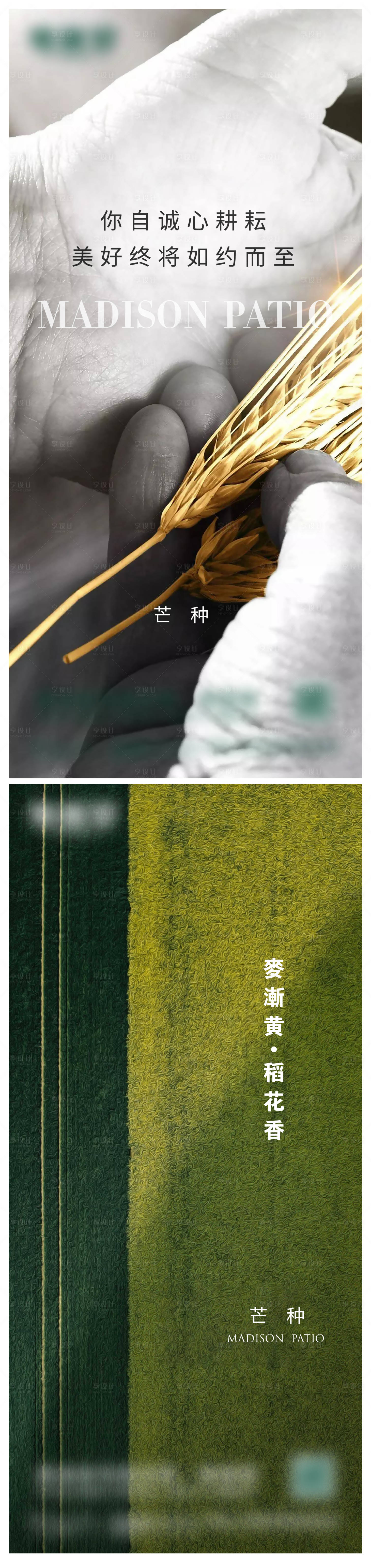 源文件下载【享设计】搜索编号：70620017056927333【芒种微信海报】