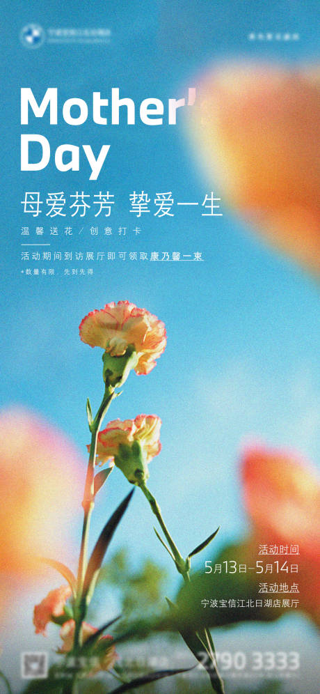 源文件下载【母亲节康乃馨海报】编号：44040016553528332