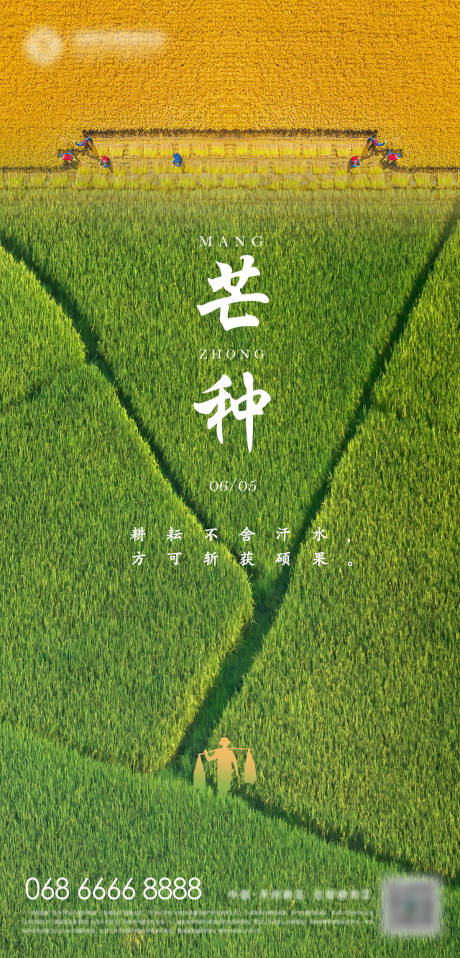 源文件下載【地產芒種節氣海報】編號：68060017064329212