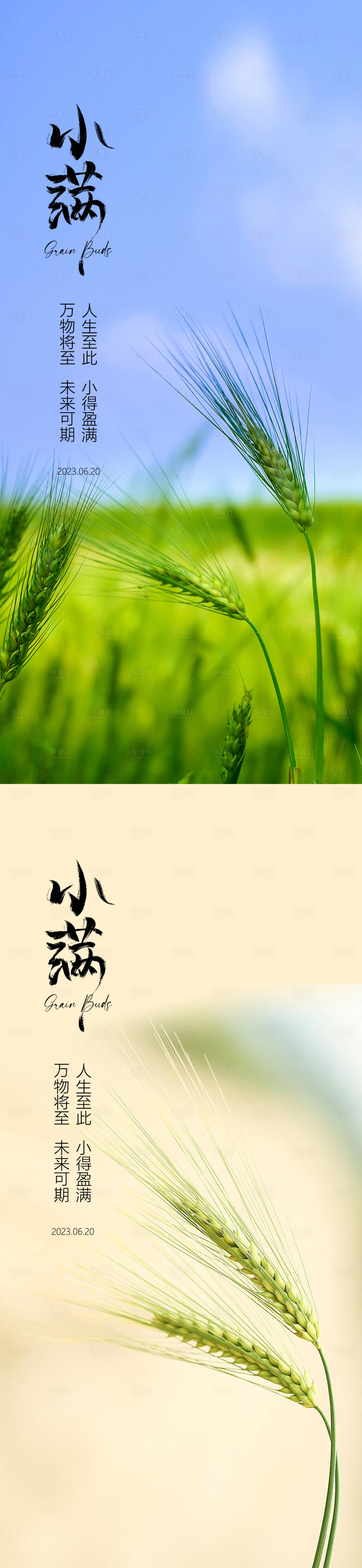 源文件下載【享設計】搜索編號：39030016536236988【小滿節(jié)氣系列海報】